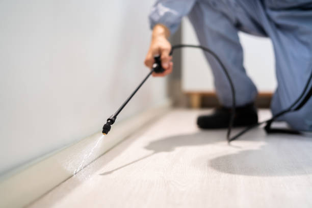 Licensed Cockroach Control service in Chantilly, VA - Nex Pest Control