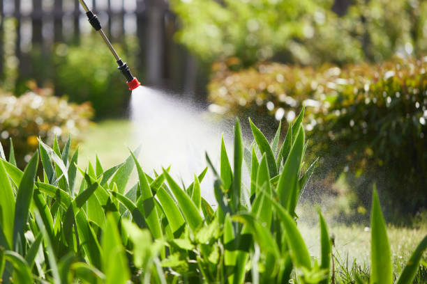 24/7 Emergency Cockroach Control experts in Chantilly, VA