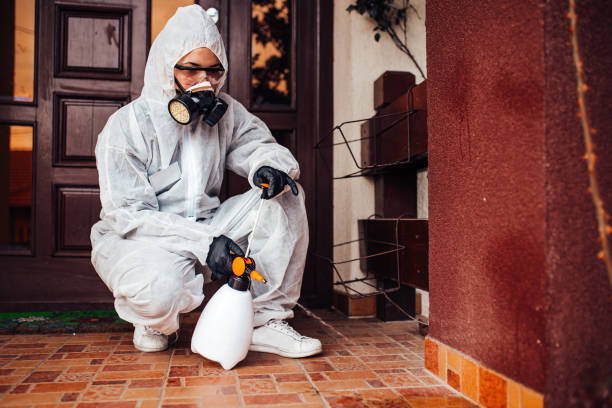 Reliable Cockroach Control contractor in Chantilly, VA by Nex Pest Control
